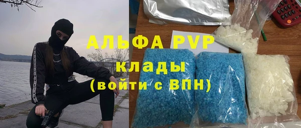 винт Арсеньев