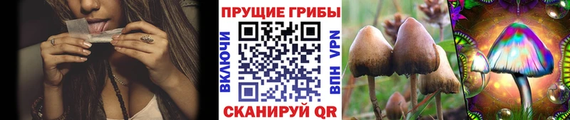 Псилоцибиновые грибы Magic Shrooms Голицыно
